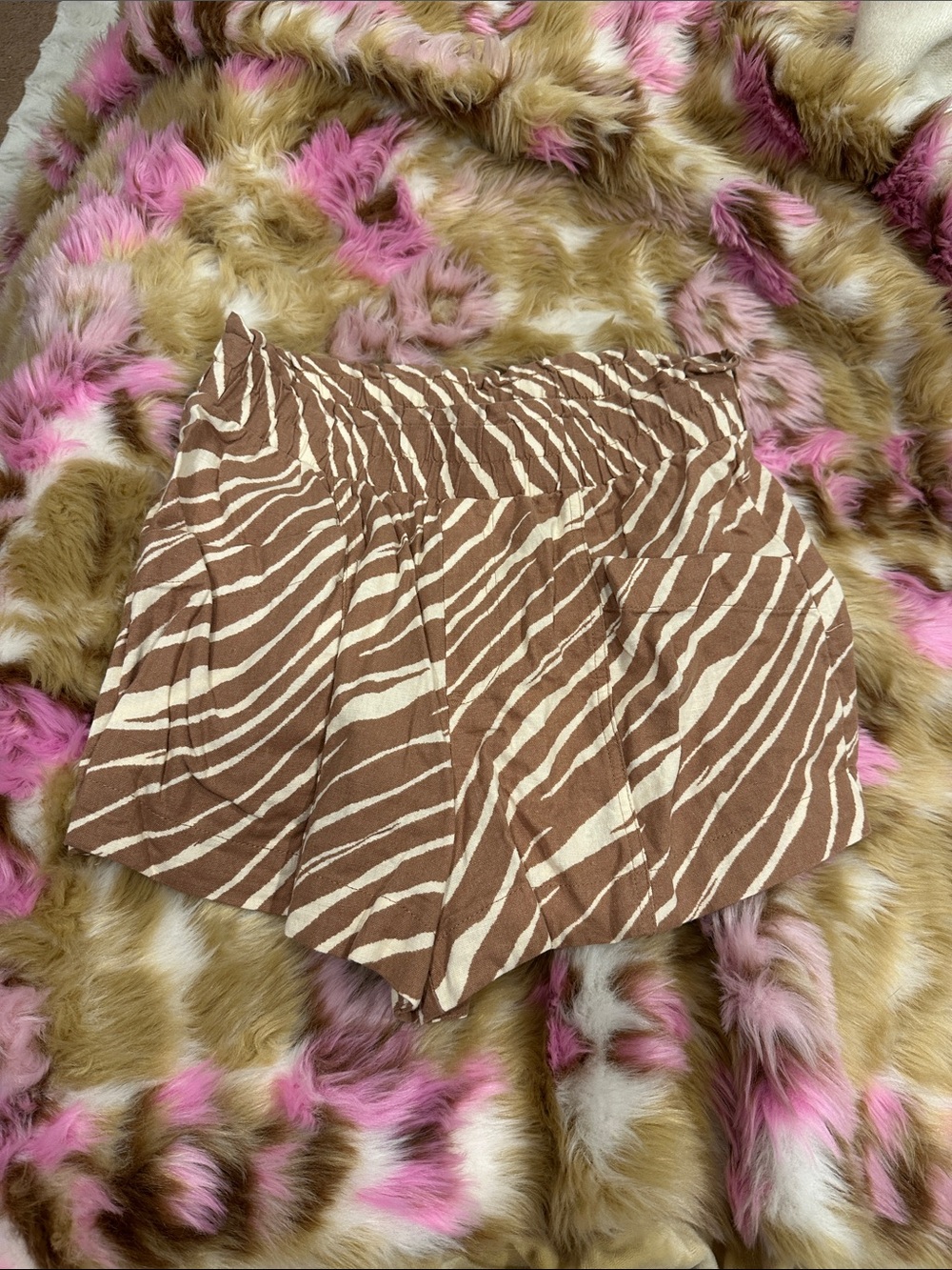Zebra shorts